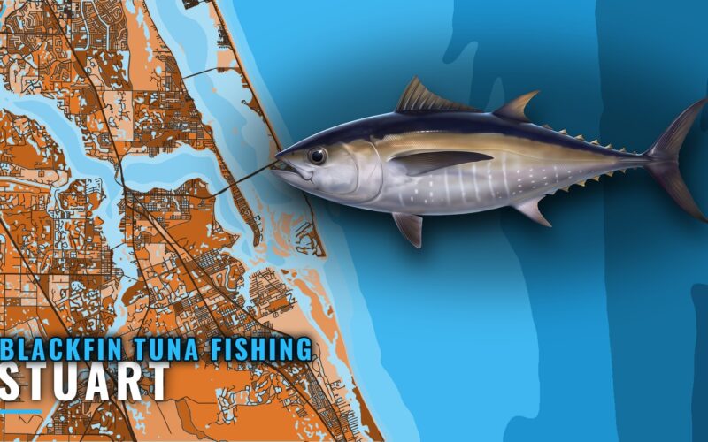 Blackfin Tuna Fishing Out of Stuart: The Hill and Beyond