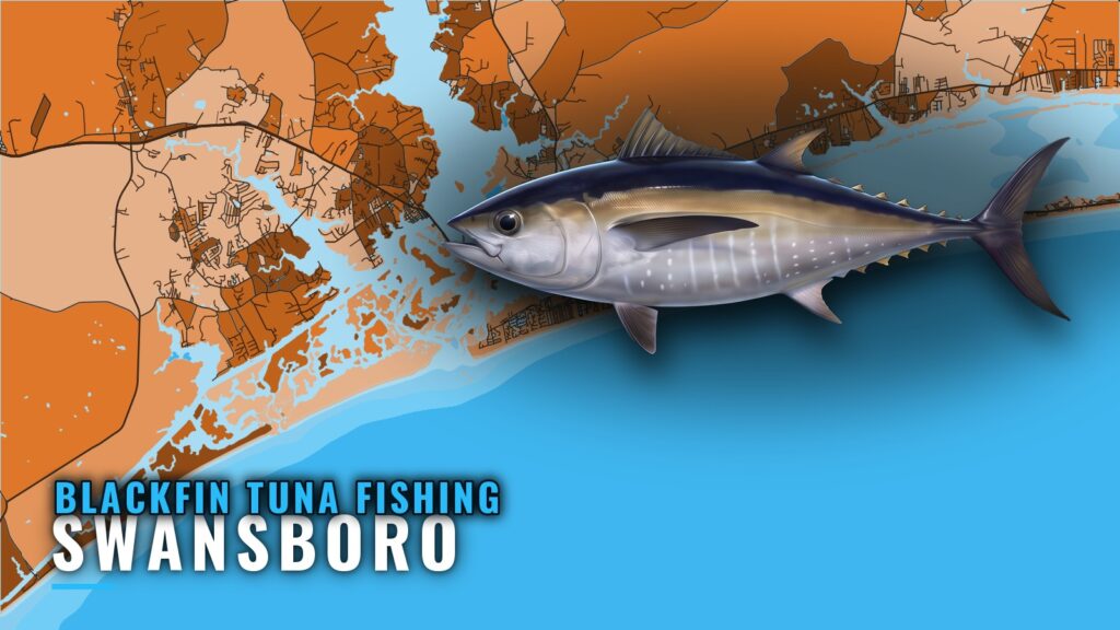 Blackfin Tuna Fishing Out of Swansboro, NC: A Port Briefing