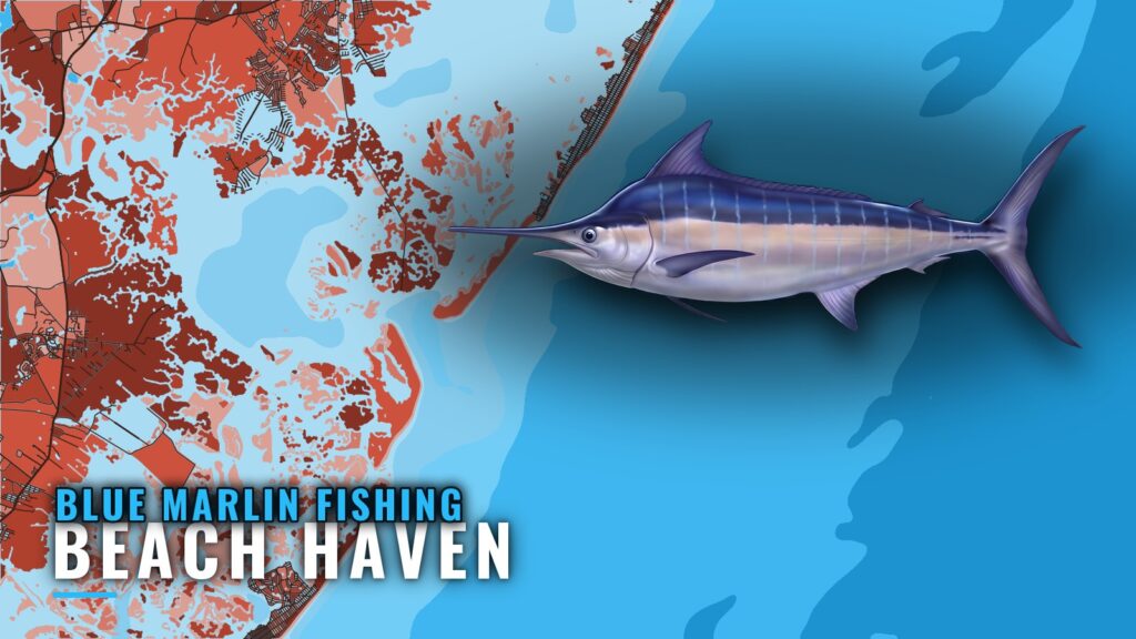 Blue Marlin Fishing Out of Beach Haven: Canyons and Spread