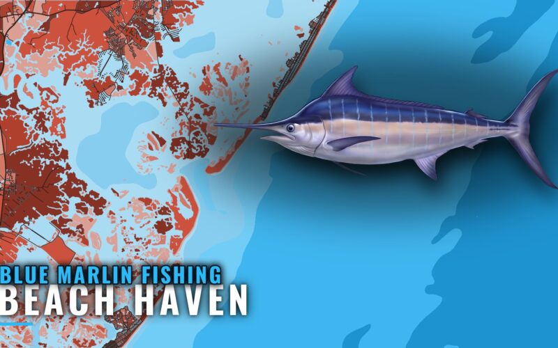 Blue Marlin Fishing Out of Beach Haven: Canyons and Spread