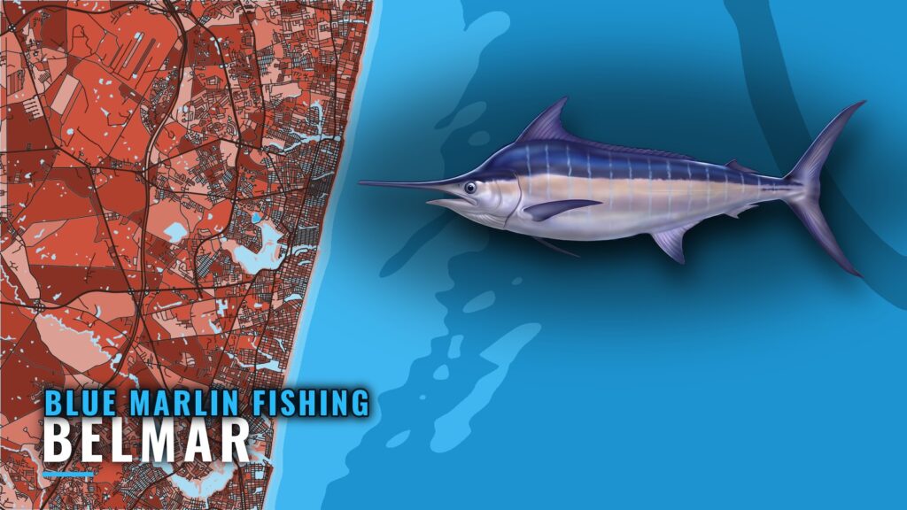 Blue Marlin Fishing Out of Belmar: Grounds and Depths