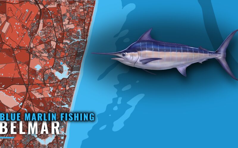 Blue Marlin Fishing Out of Belmar: Grounds and Depths