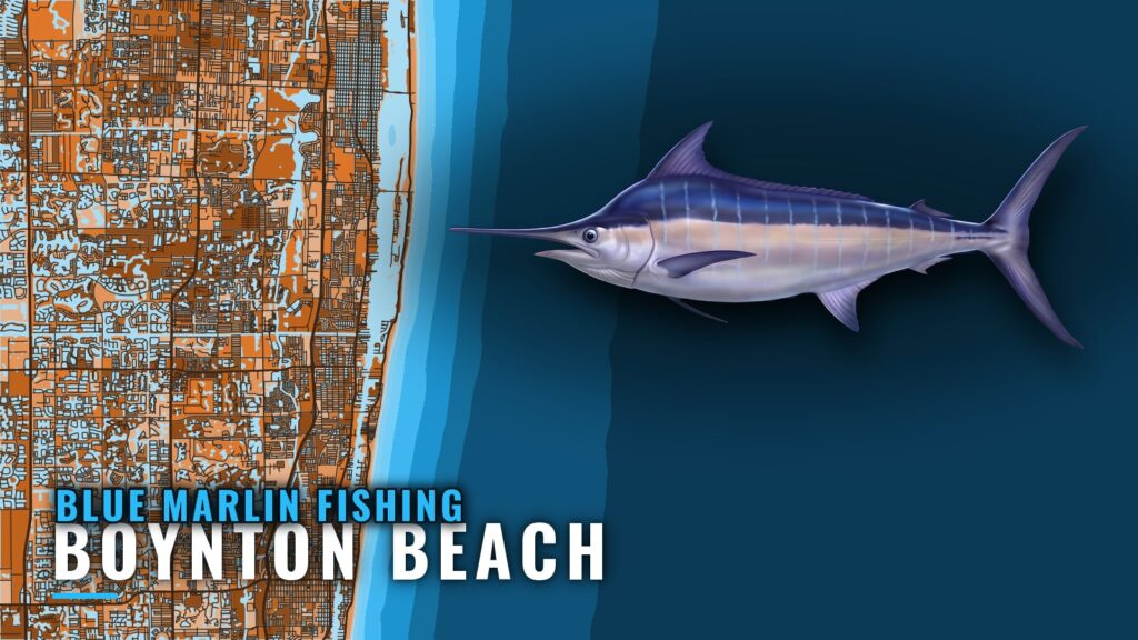 Blue Marlin Fishing Out of Boynton Beach, April to October