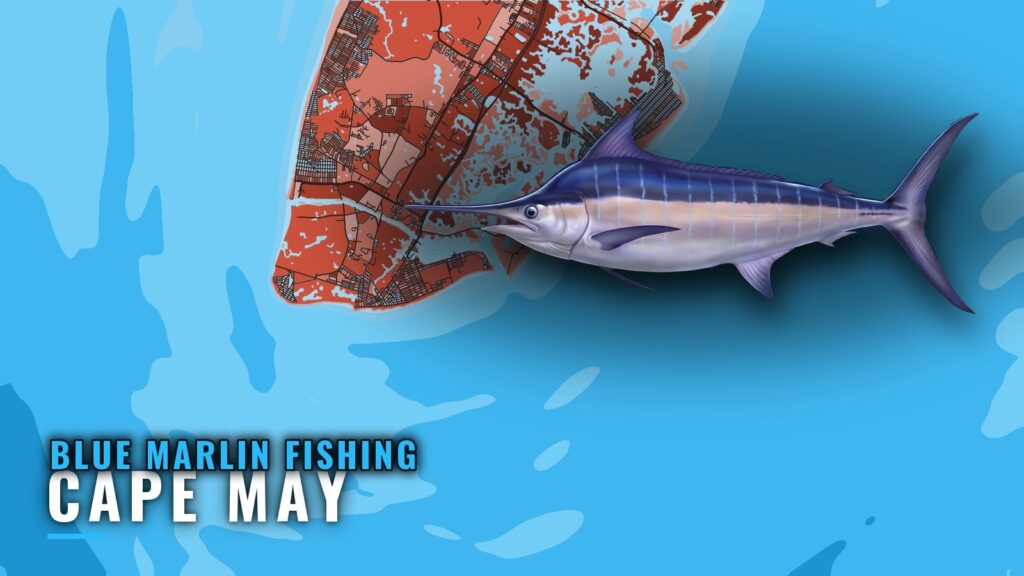 Blue marlin fishing out of Cape May: canyons and runs