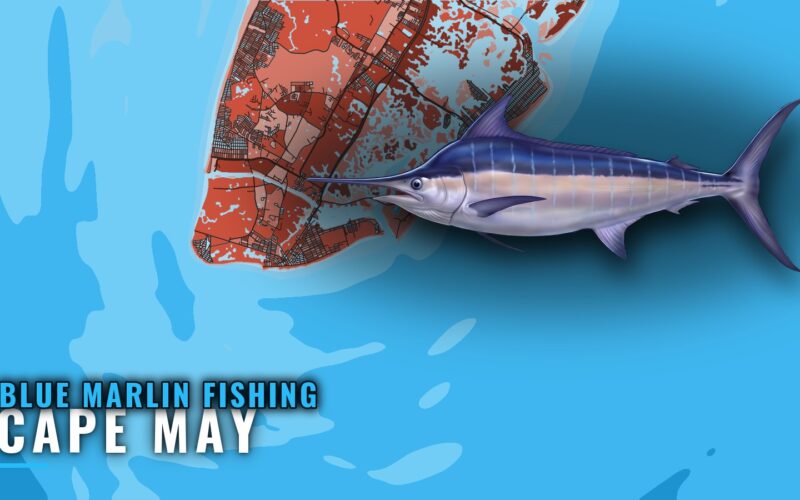 Blue marlin fishing out of Cape May: canyons and runs