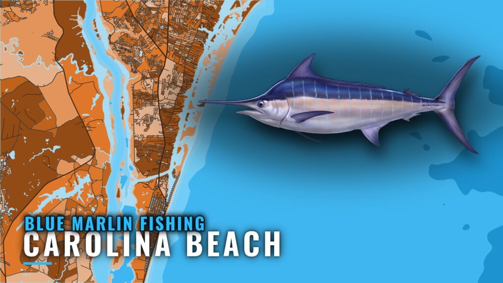 Blue Marlin Fishing out of Carolina Beach, North Carolina