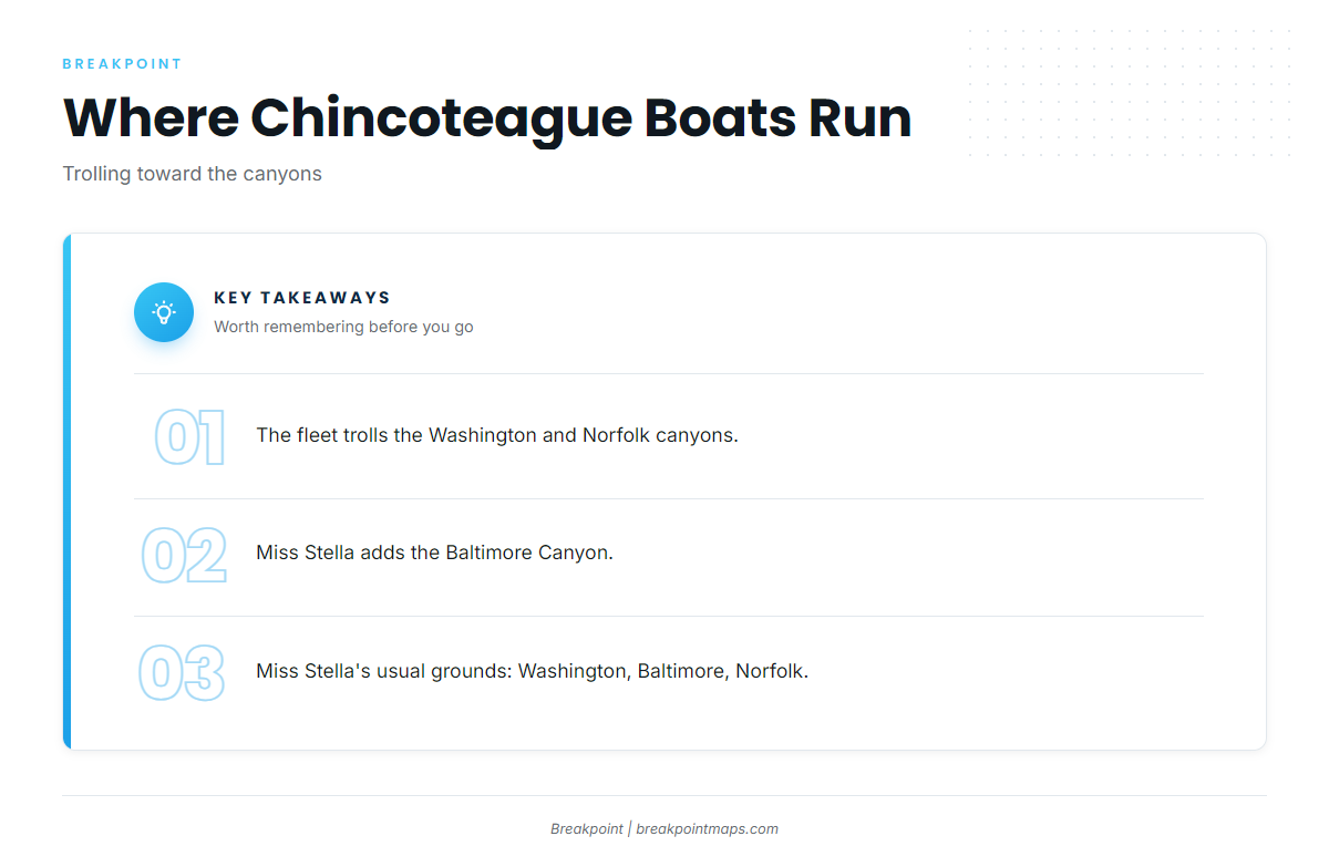 Where Chincoteague boats run