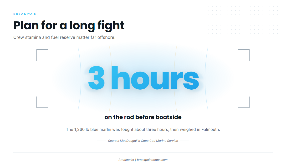 Plan for a long fight