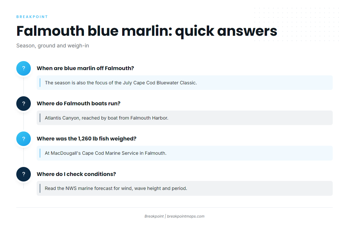 FAQ: blue marlin fishing out of Falmouth / Woods Hole