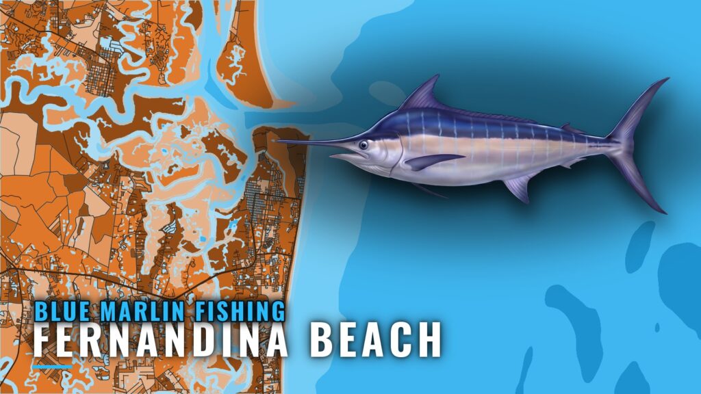 Blue Marlin Fishing out of Fernandina Beach: Run Plan