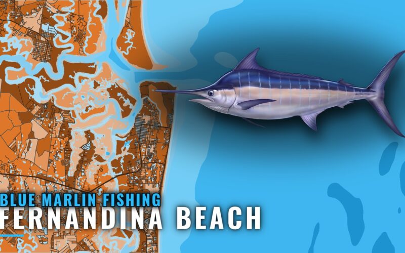 Blue Marlin Fishing out of Fernandina Beach: Run Plan