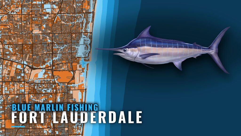 Blue Marlin Fishing out of Fort Lauderdale: Where to Run