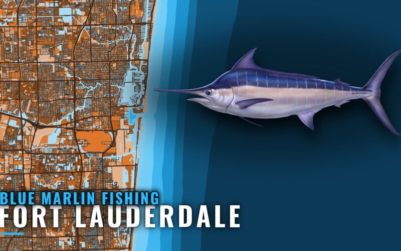 Blue Marlin Fishing out of Fort Lauderdale: Where to Run