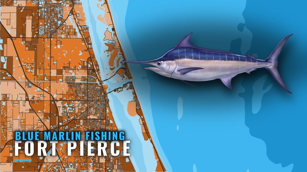 Blue Marlin Fishing out of Fort Pierce: Season, Structure