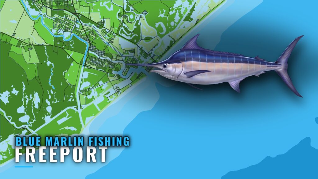 Blue Marlin Fishing Out of Freeport, Texas: When and Where