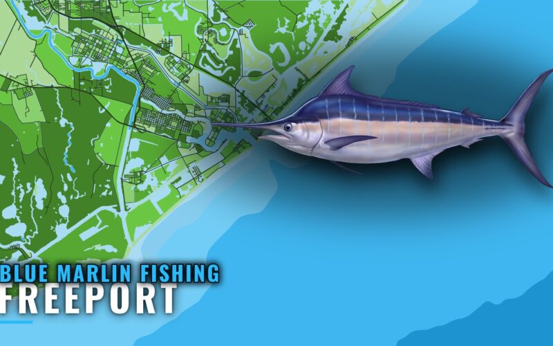 Blue Marlin Fishing Out of Freeport, Texas: When and Where