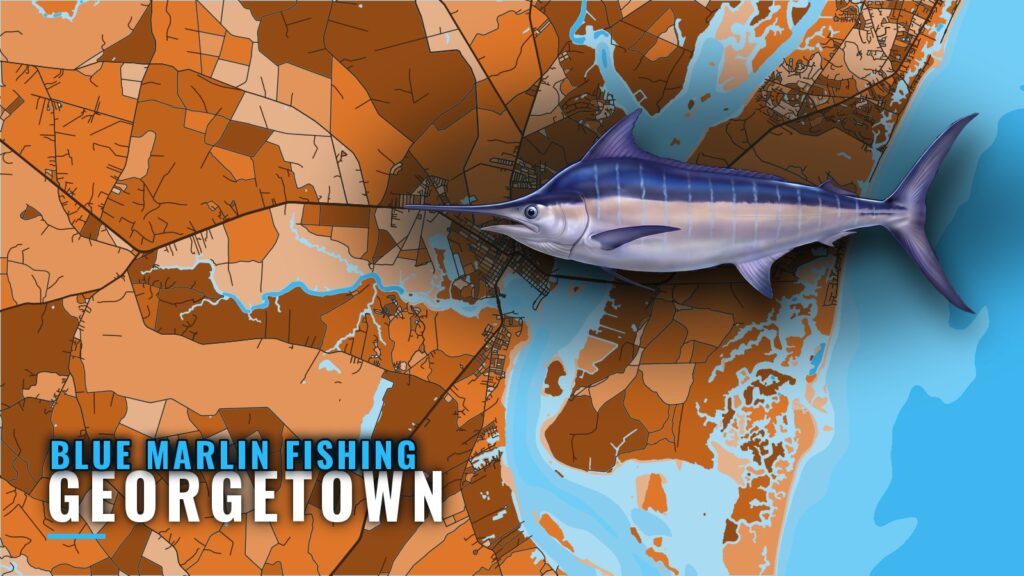 Blue Marlin Fishing Out of Georgetown, SC: Where to Run