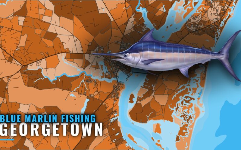 Blue Marlin Fishing Out of Georgetown, SC: Where to Run