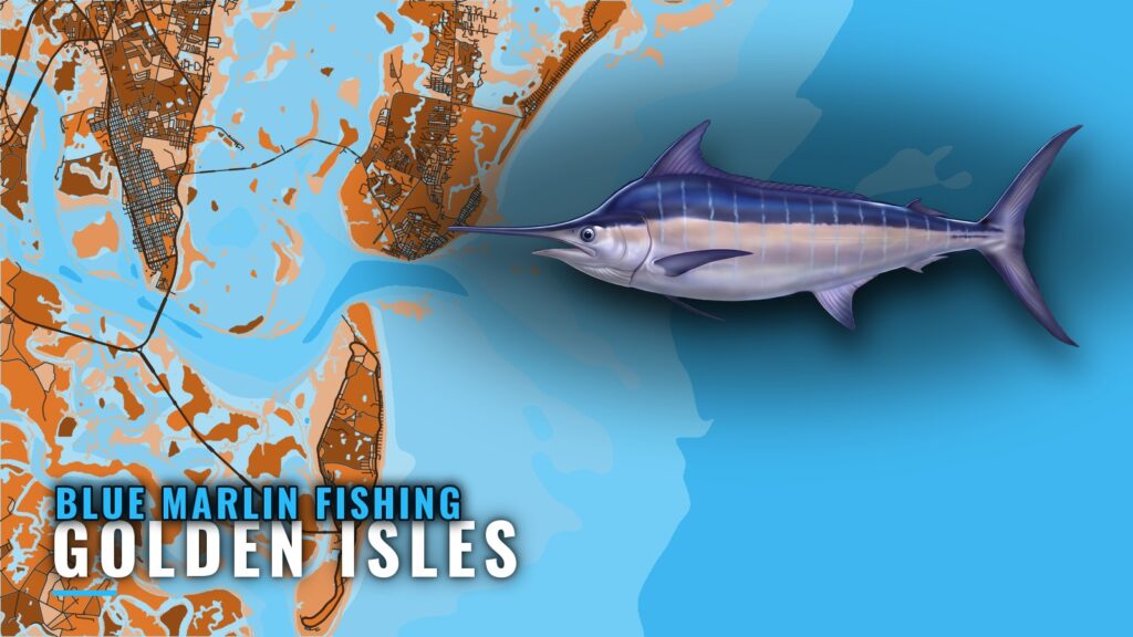 Blue Marlin Fishing Out of Golden Isles: The Run and Reefs