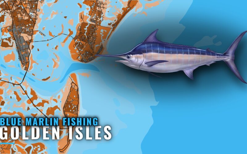 Blue Marlin Fishing Out of Golden Isles: The Run and Reefs