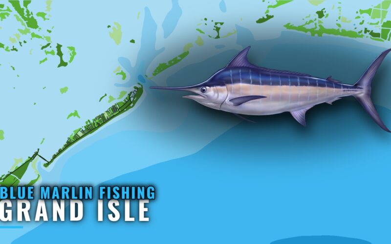 Blue Marlin Fishing Out of Grand Isle: Grounds and Timing