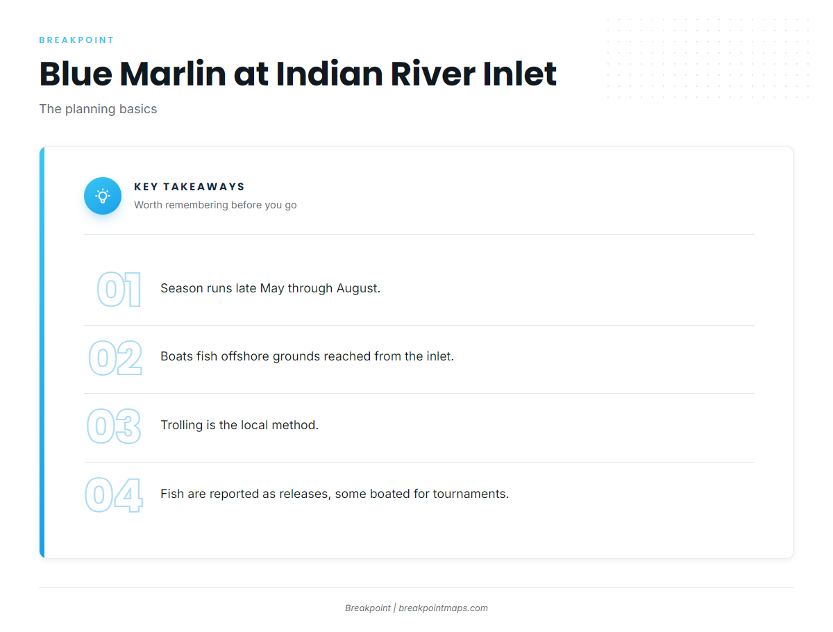 Blue marlin season at Indian River Inlet