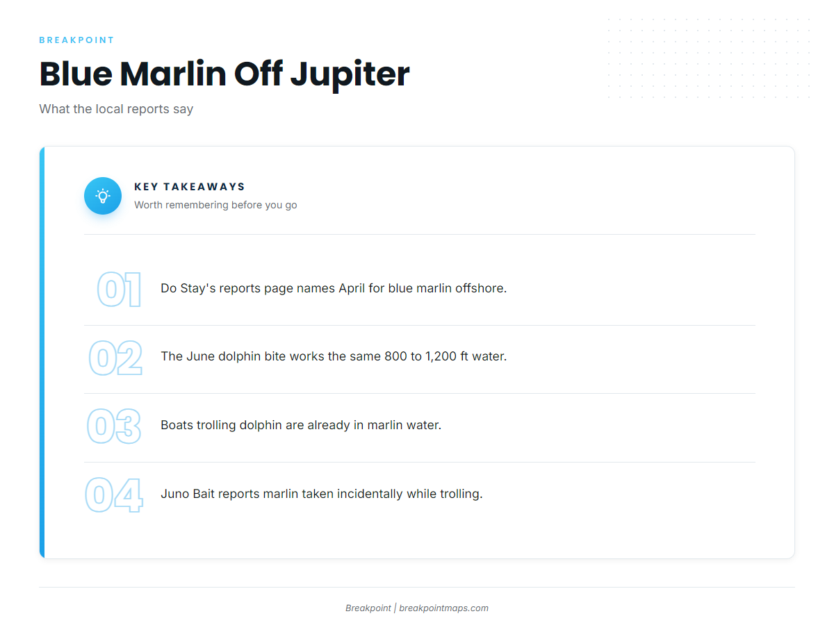 When blue marlin are off Jupiter
