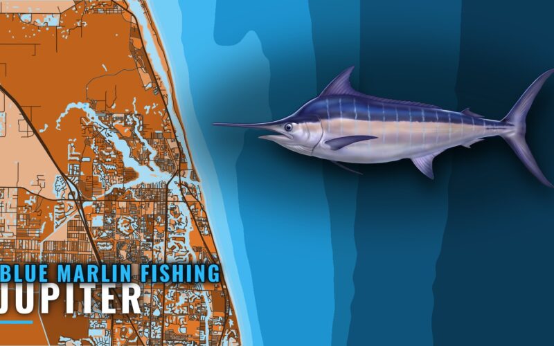 Blue Marlin Fishing Out of Jupiter: When, Where and How