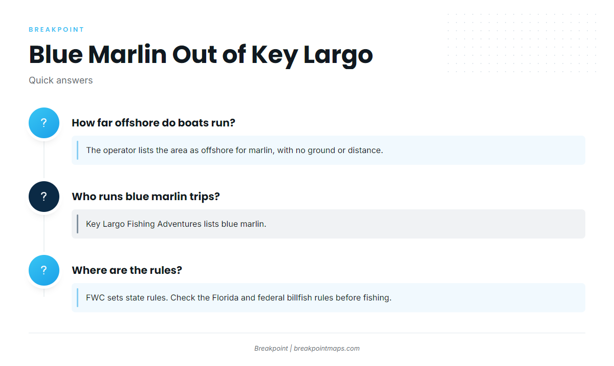 FAQ: blue marlin out of Key Largo