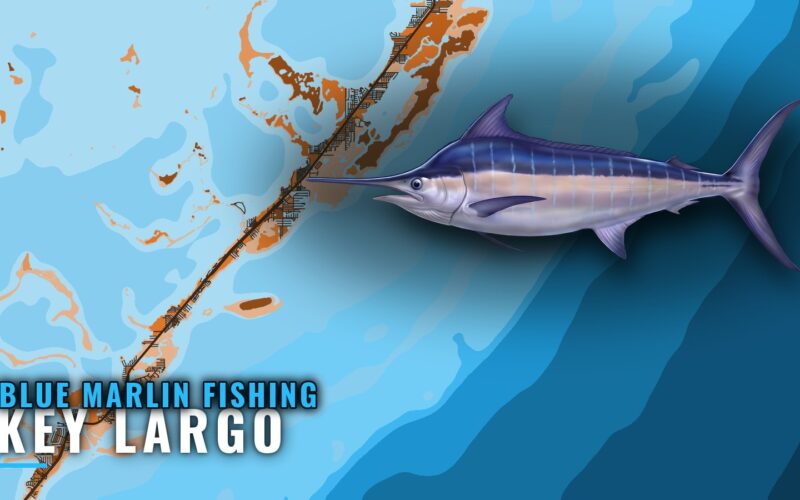Blue Marlin Fishing Out of Key Largo: Wrecks and Depths