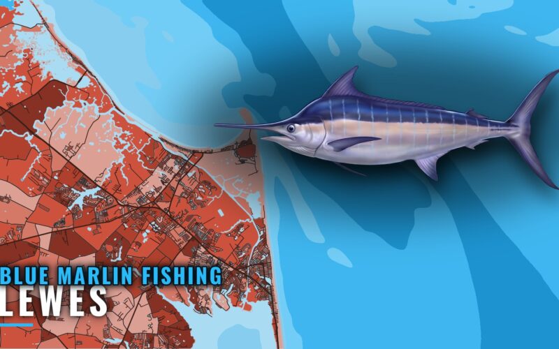 Blue Marlin Fishing Out of Lewes: Season, Run, Grounds