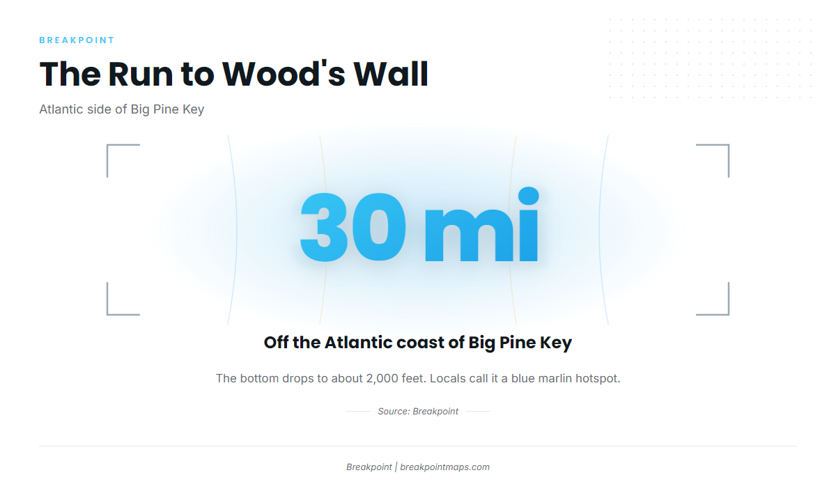 Wood's Wall (Blue marlin fishing out of Lower Keys)