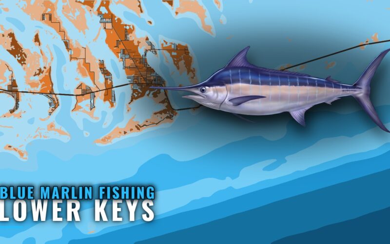 Blue Marlin Fishing Out of the Lower Keys: Wood’s Wall