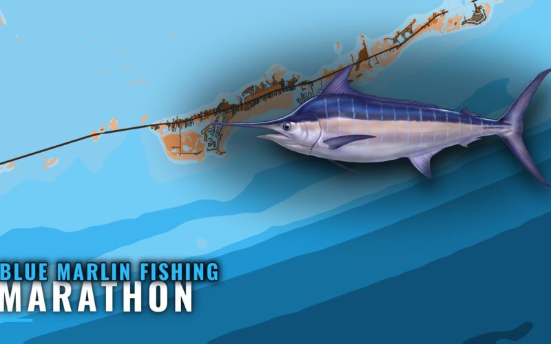 Blue Marlin Fishing out of Marathon: Grounds and Depths