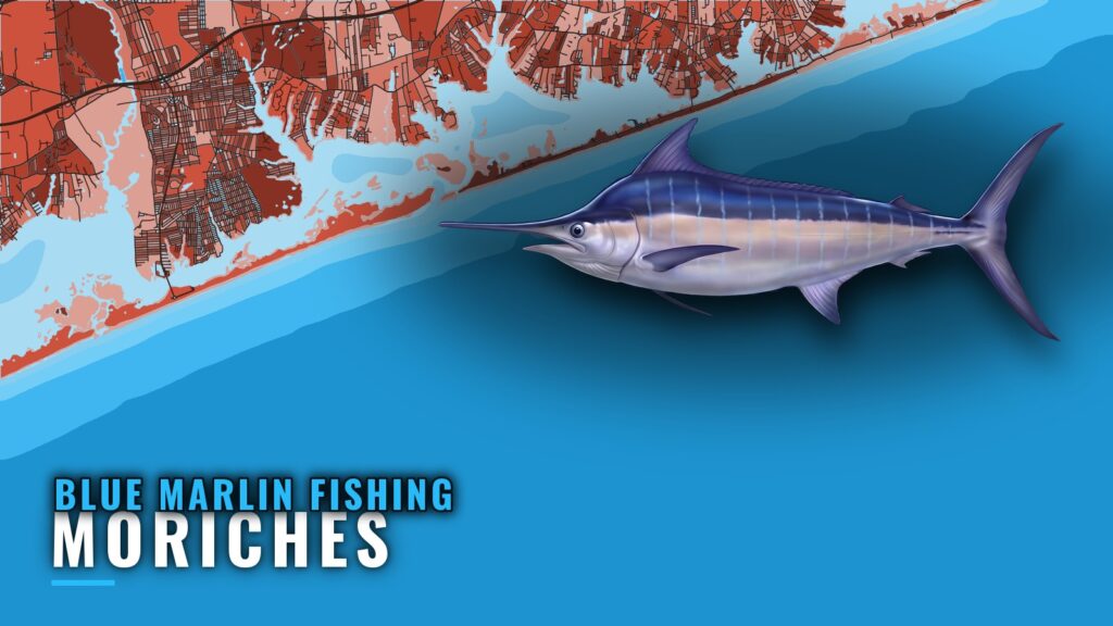 Blue Marlin Fishing Out of Moriches: The Run and Grounds