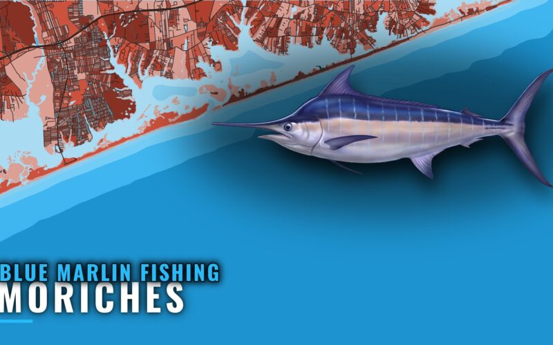 Blue Marlin Fishing Out of Moriches: The Run and Grounds