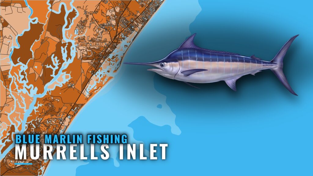 Blue Marlin Fishing out of Murrells Inlet: Runs and Reefs