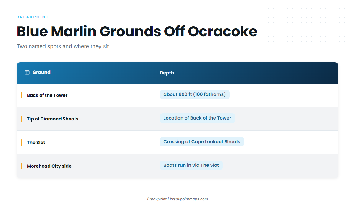 The grounds that hold blue marlin