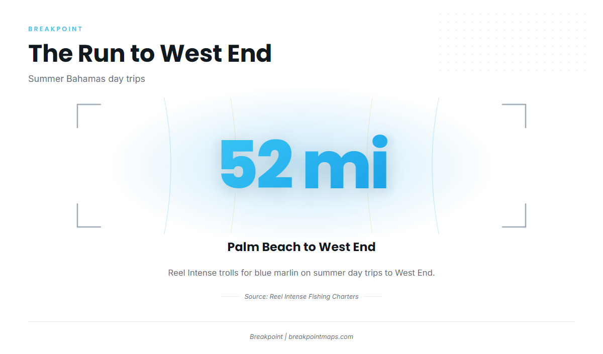Where Palm Beach boats run for blue marlin