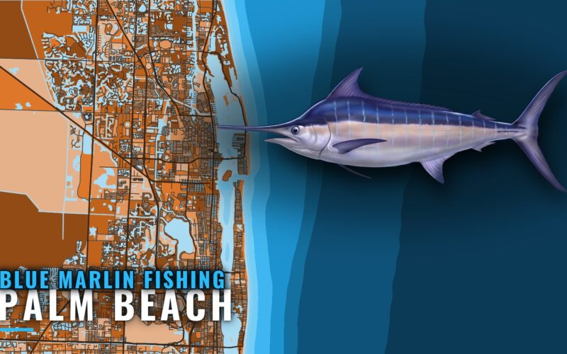 Blue Marlin Fishing Out of Palm Beach: Grounds and Runs