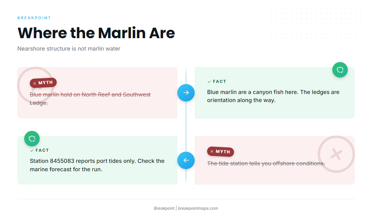 FAQ about blue marlin fishing out of Point Judith