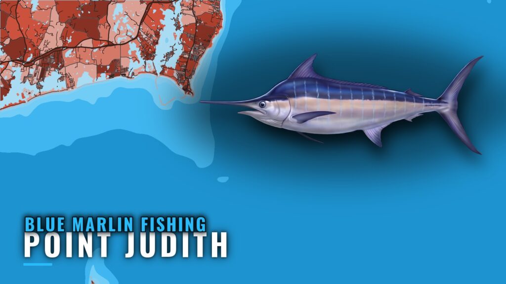 Blue Marlin Fishing out of Point Judith, RI: Port Guide