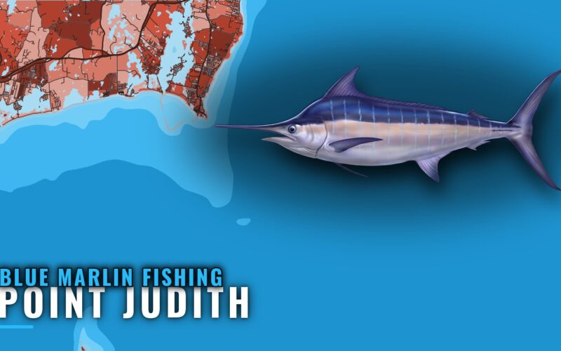 Blue Marlin Fishing out of Point Judith, RI: Port Guide