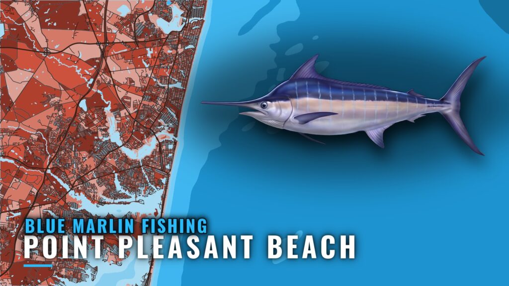 Blue Marlin Fishing out of Point Pleasant Beach, NJ