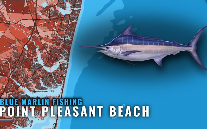 Blue Marlin Fishing out of Point Pleasant Beach, NJ