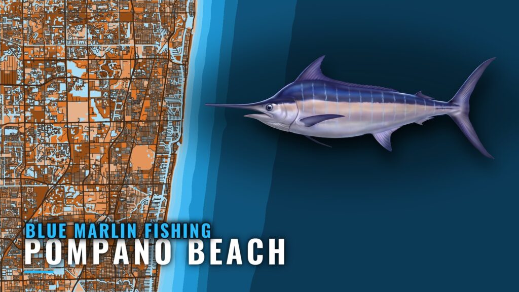 Blue Marlin Fishing out of Pompano Beach: Where Boats Run