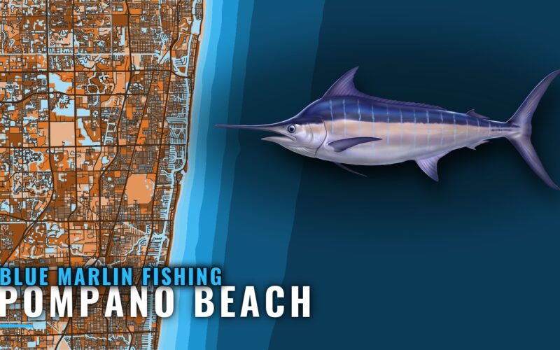 Blue Marlin Fishing out of Pompano Beach: Where Boats Run