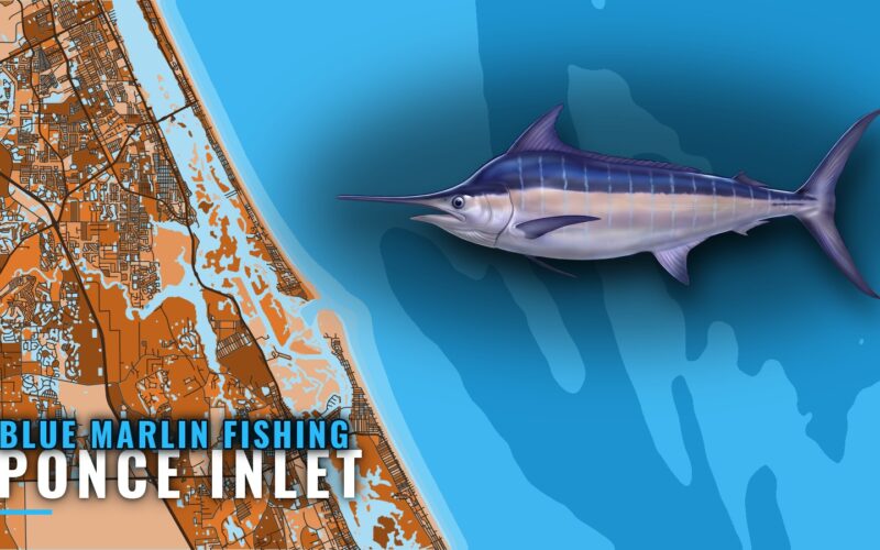 Blue Marlin Fishing Out of Ponce Inlet: Season and Grounds