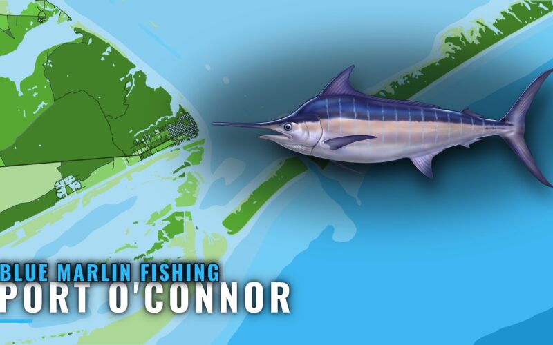 Blue Marlin Fishing Out of Port O’Connor: Run and Reefs