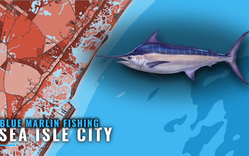 Blue Marlin Fishing Out of Sea Isle City: Grounds and Runs